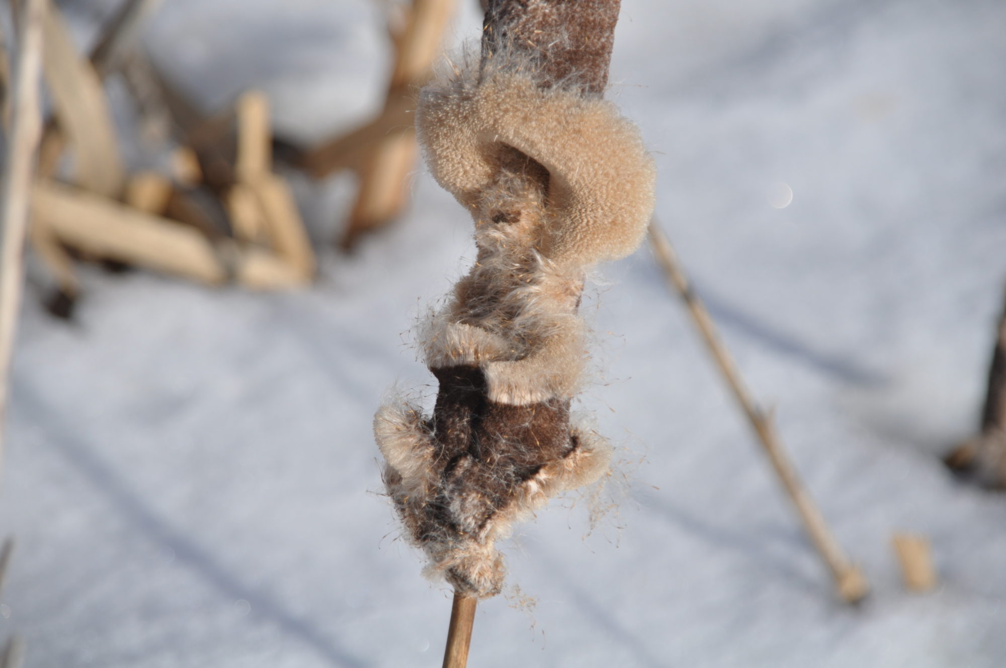 Valokuvaaja: Mauno Lilja