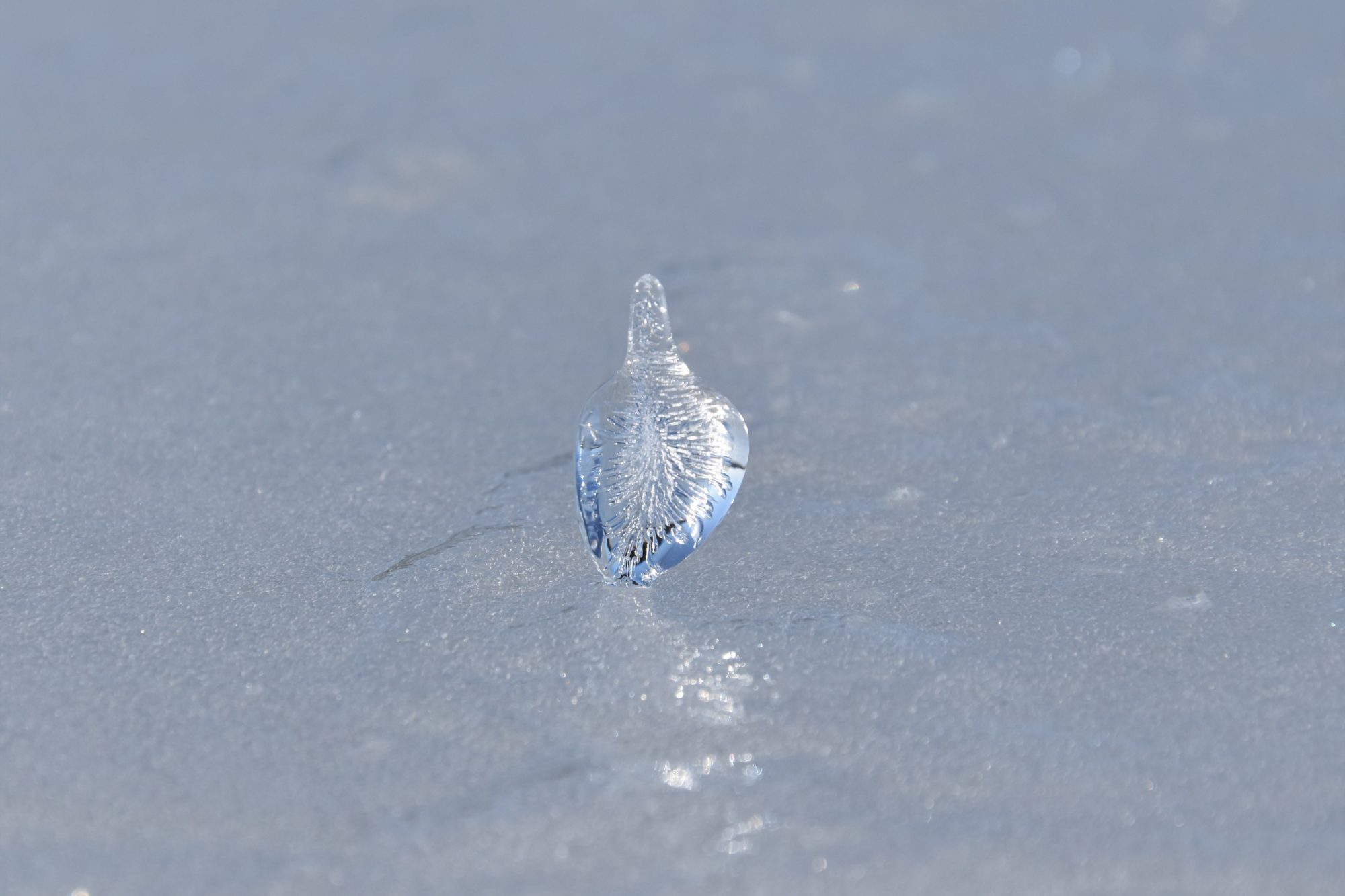 Valokuvaaja: Lahja Toivanen