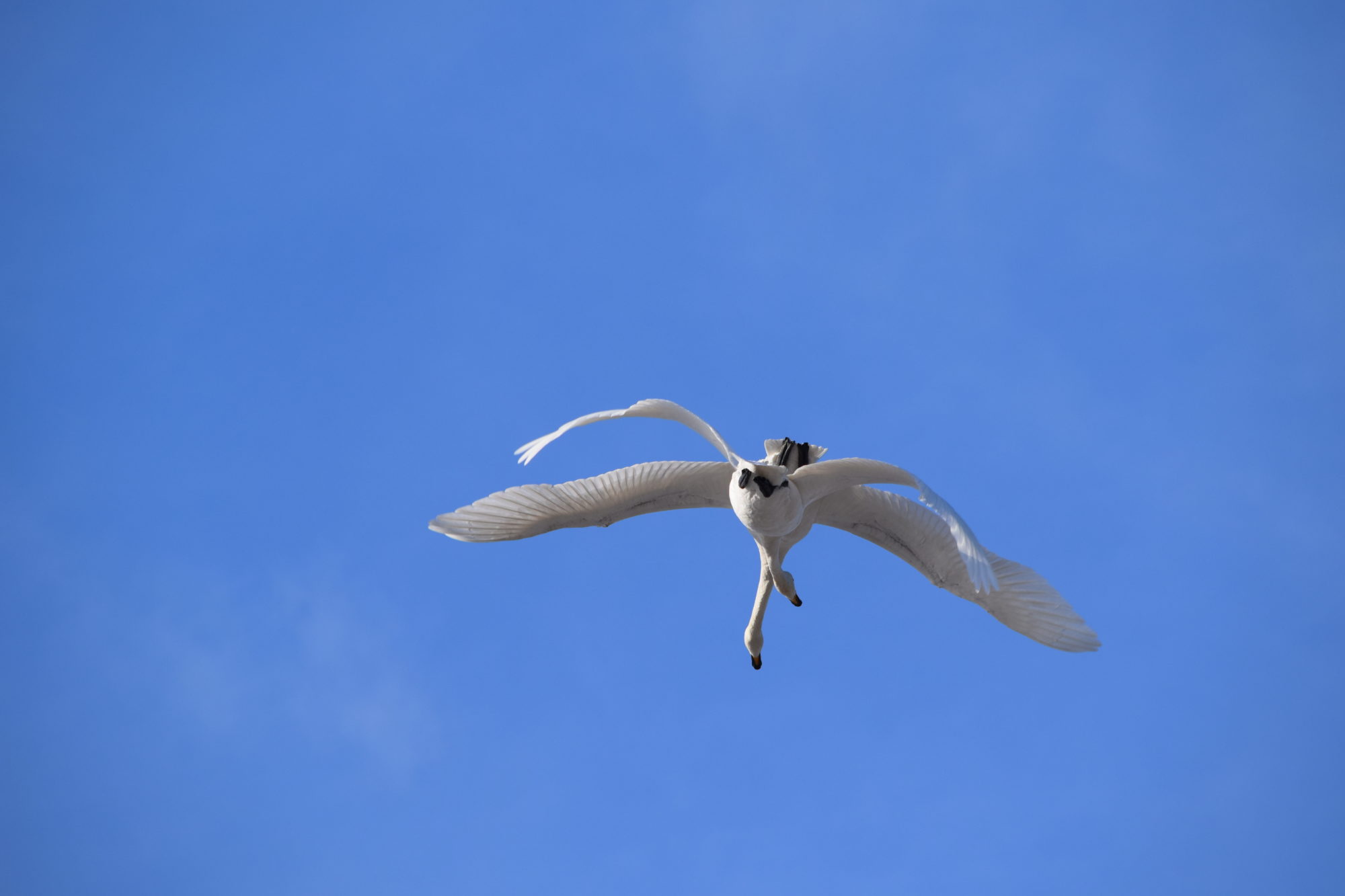 Valokuvaaja: Riitta Marjamäki