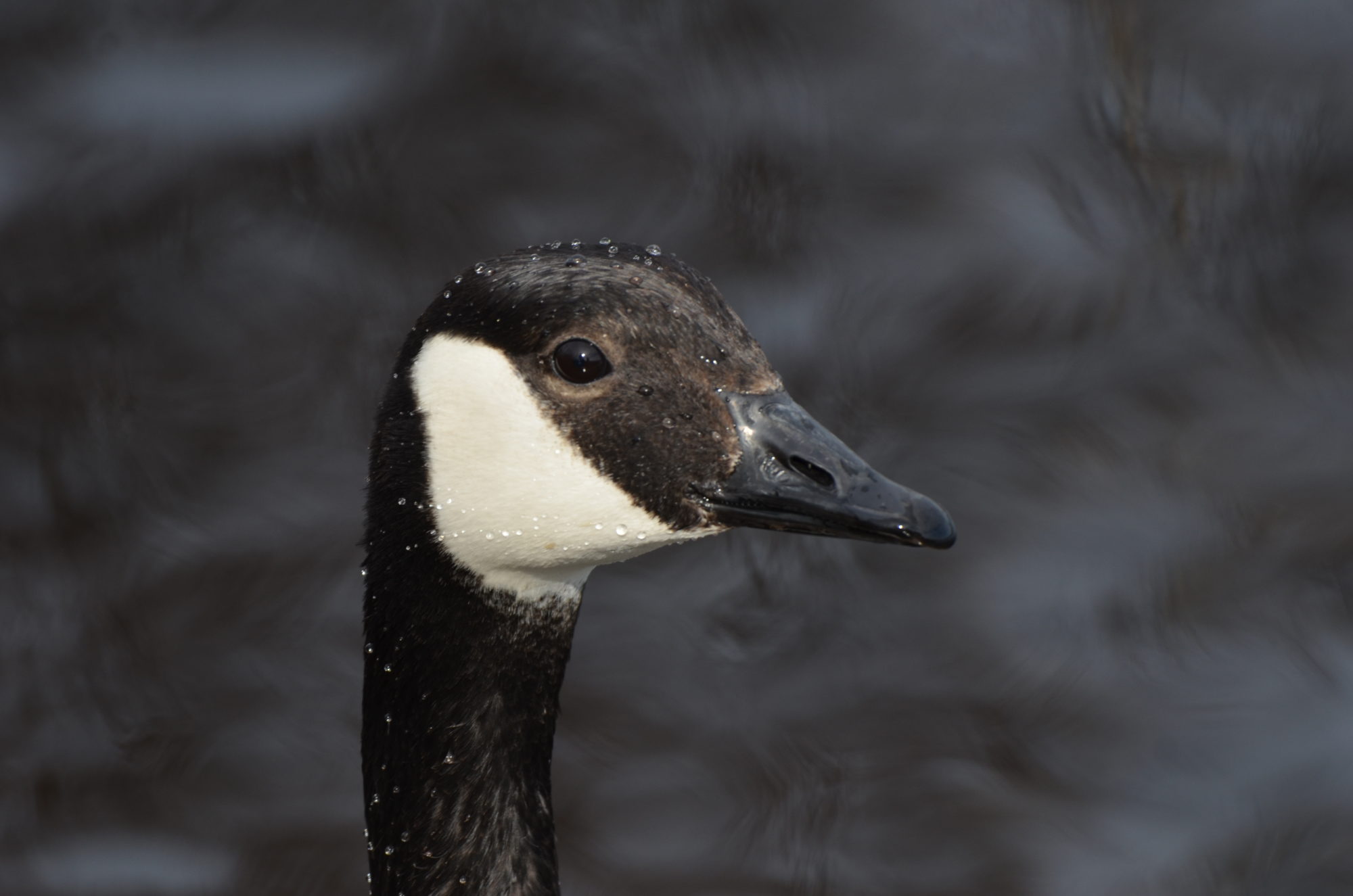 Valokuvaaja: Jouko Varonen