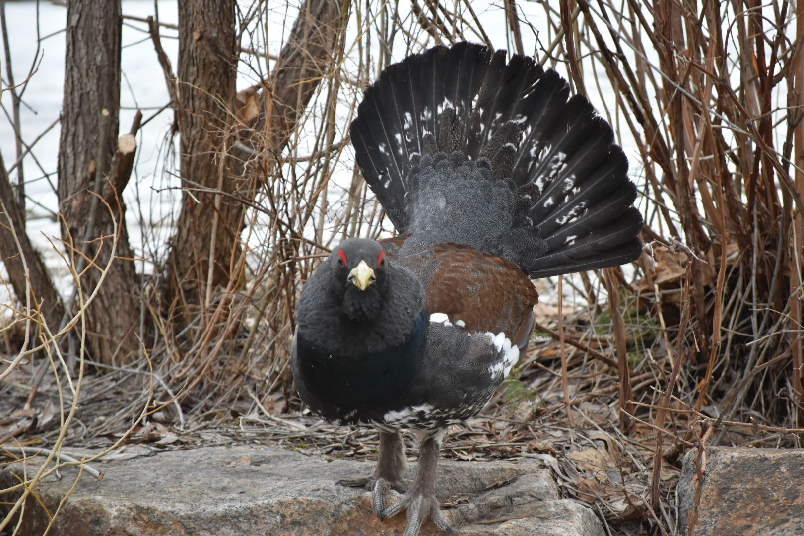 Valokuvaaja: Jyri Oksanen