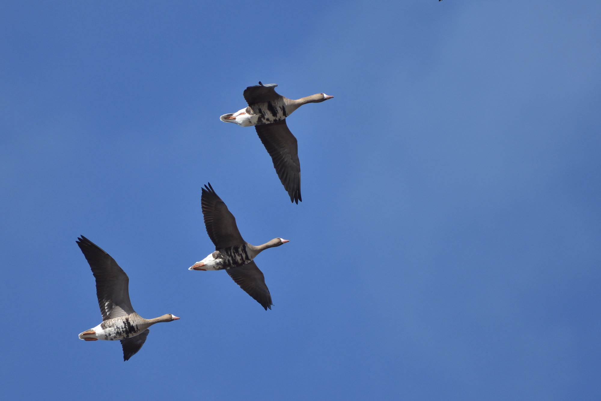 Valokuvaaja: Asko Heikkinen Valokuvaaja: Asko Heikkinen