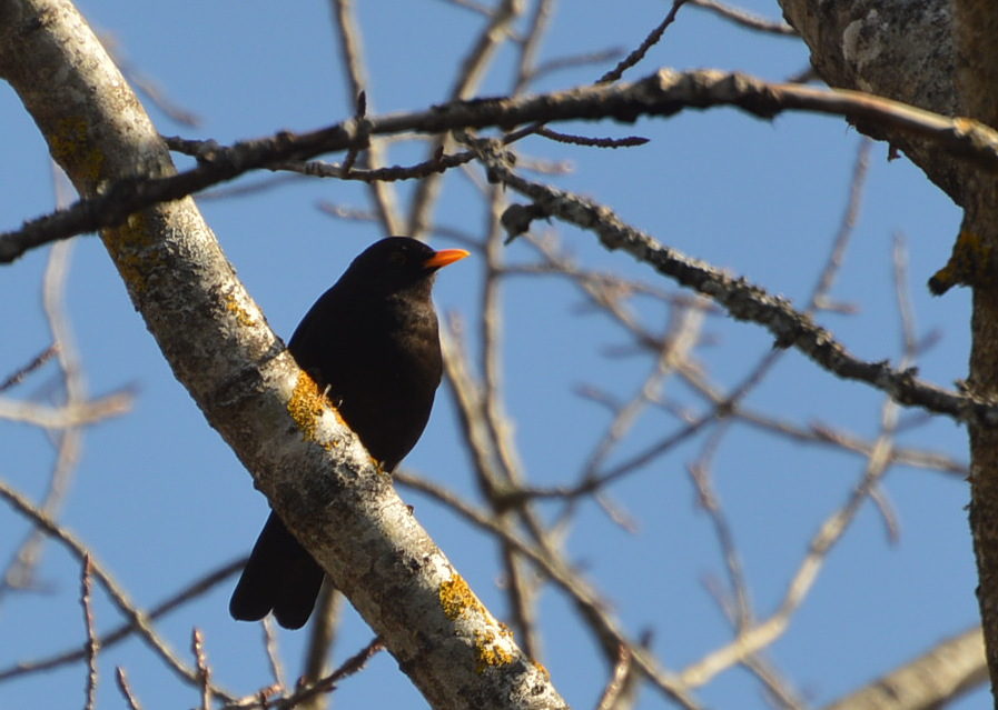 Valokuvaaja: Elisabet Varonen