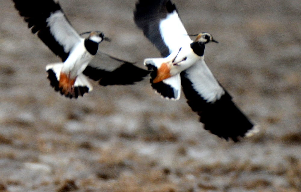 Valokuvaaja: Jouko Varonen