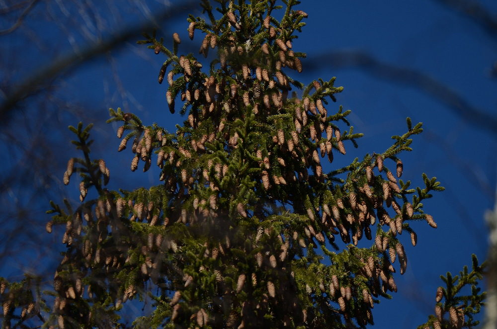 Valokuvaaja: Jouko Varonen