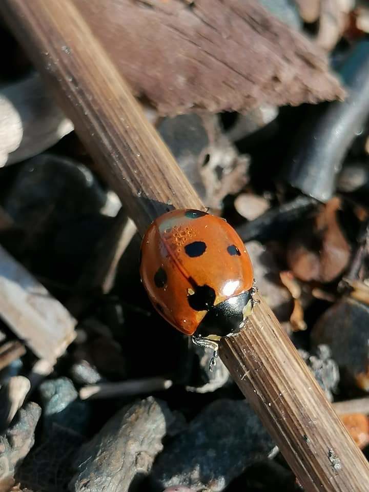 Valokuvaaja: Riitta Marjamäki