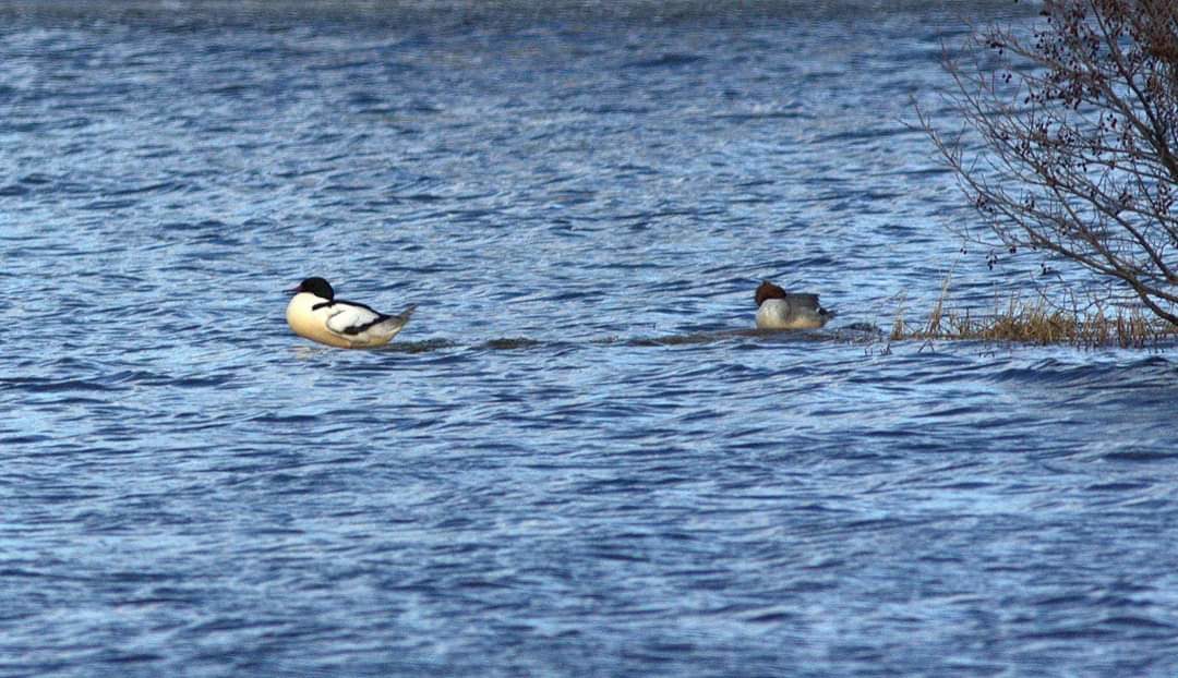 Valokuvaaja: Tapio Keinonen