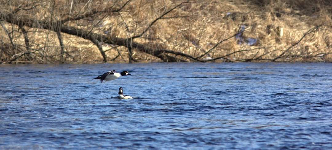 Valokuvaaja: Tapio Keinonen Valokuvaaja: Tapio Keinonen