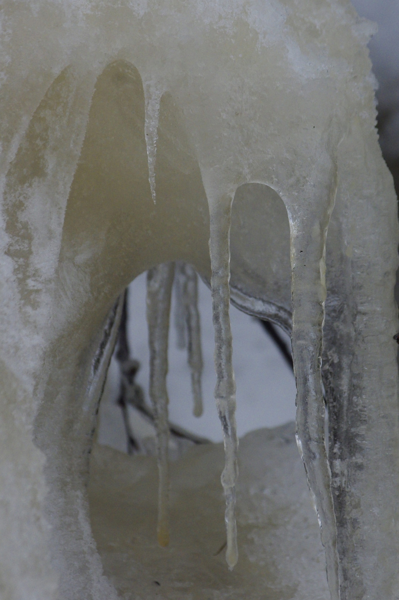 Valokuvaaja: Pirjo Virtanen