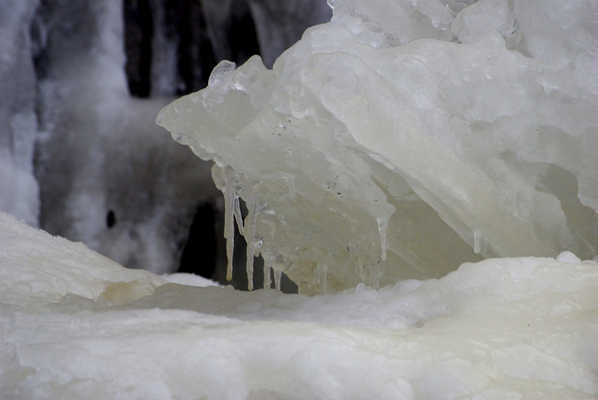 Valokuvaaja: Pirjo Virtanen