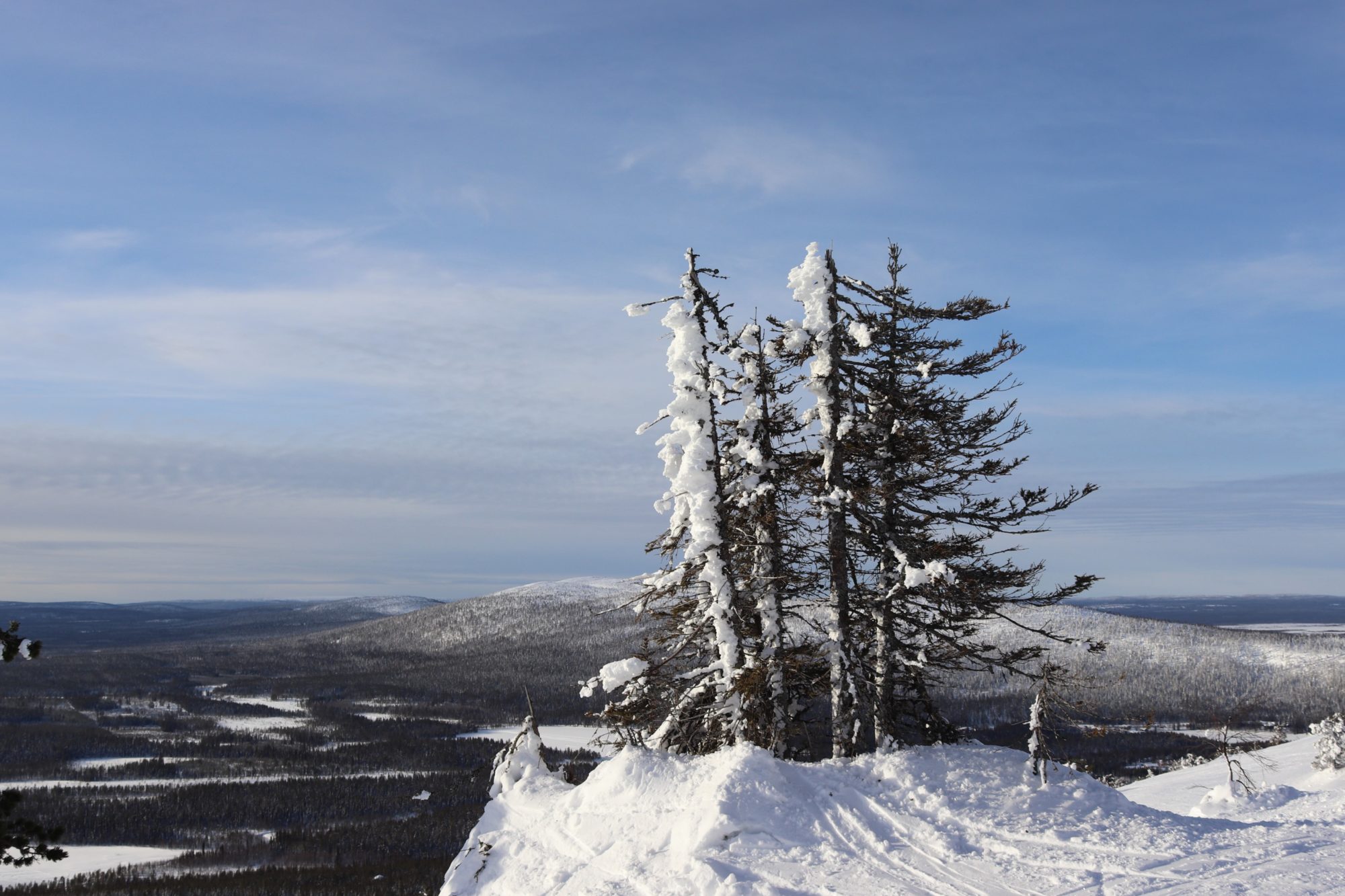 Valokuvaaja: Irja Lehtinen