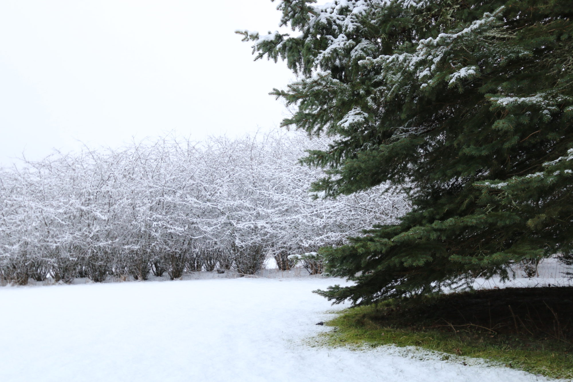 Valokuvaaja: Teija Järvenpää