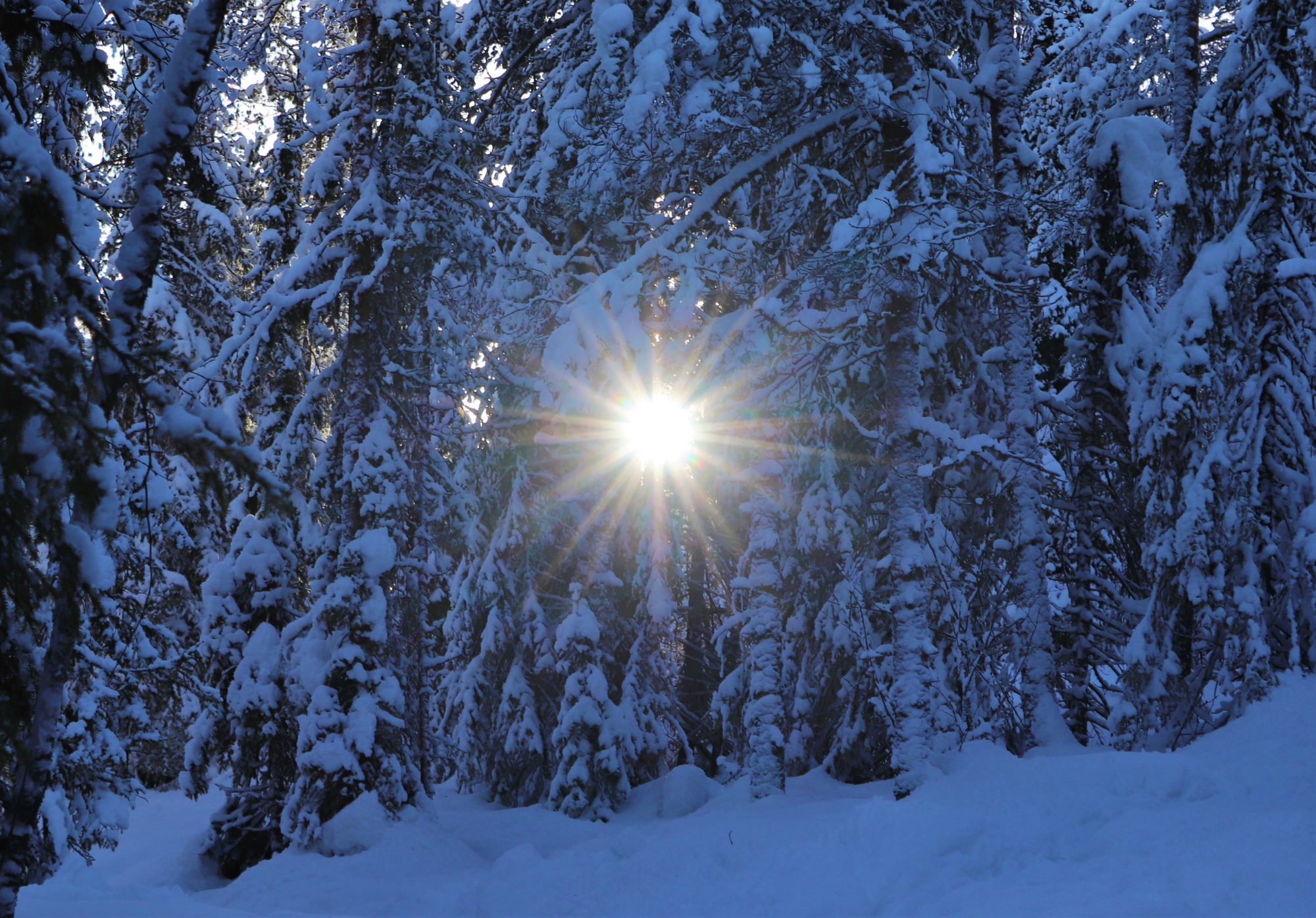 Valokuvaaja: Irja Lehtinen Valokuvaaja: Irja Lehtinen