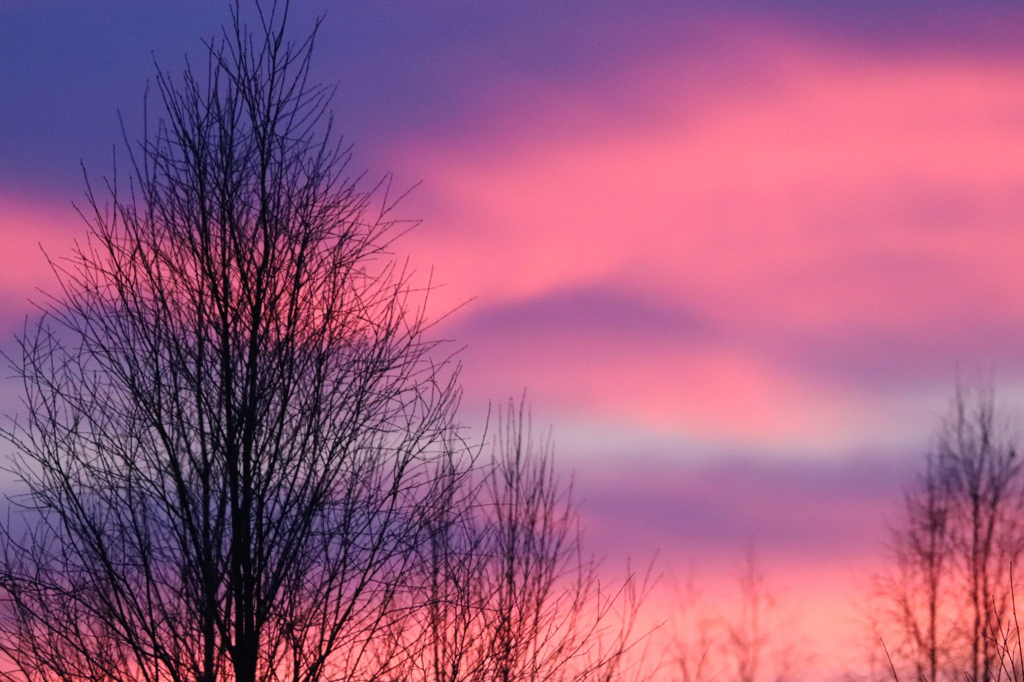 Valokuvaaja: Irja Lehtinen