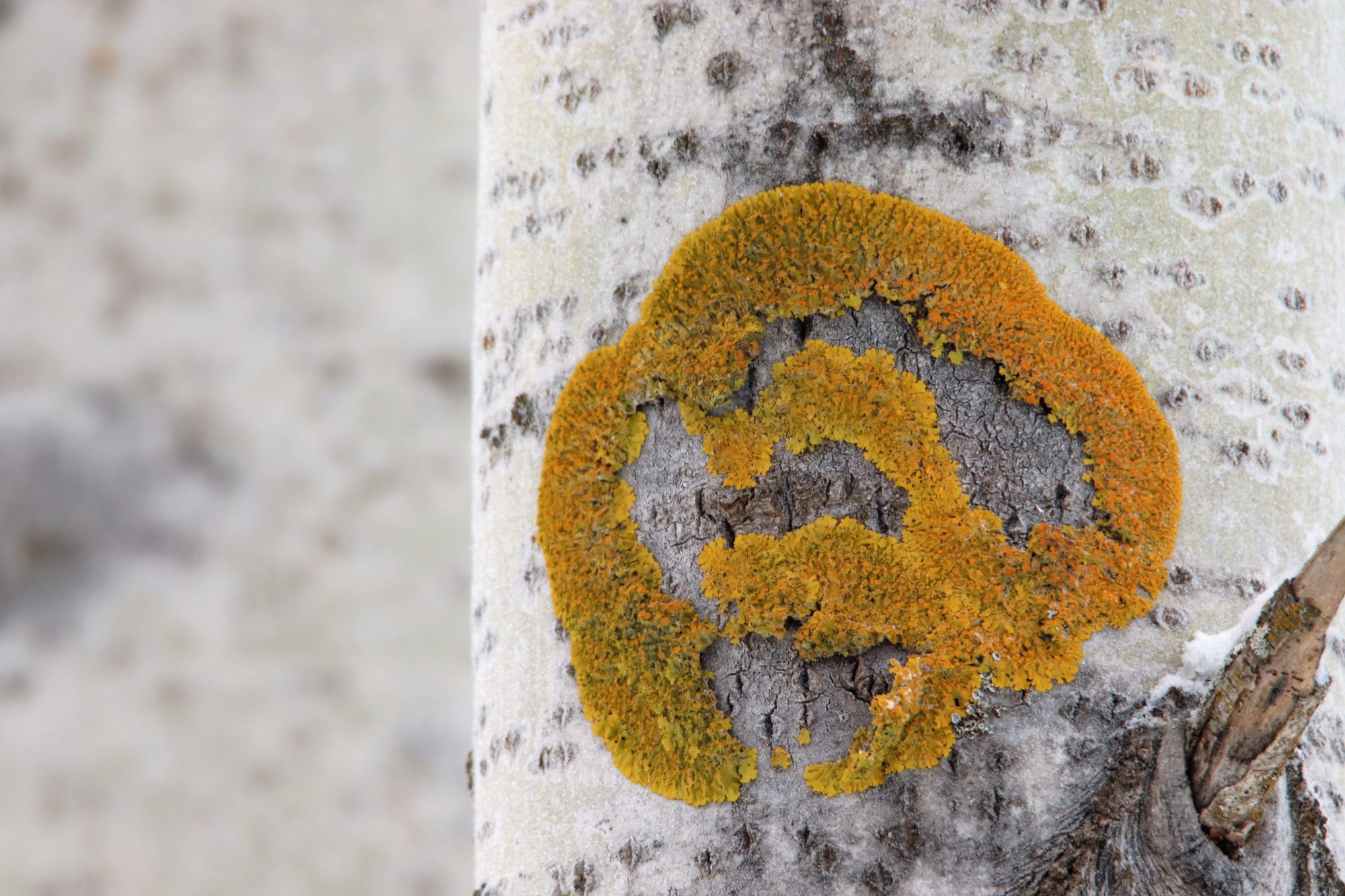 Valokuvaaja: Irja Lehtinen