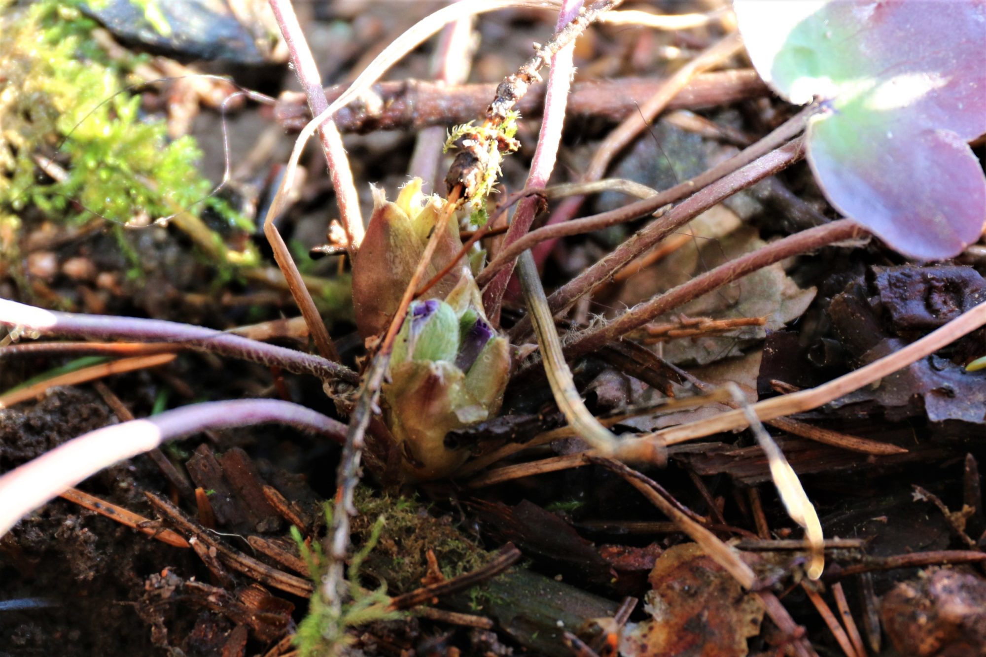 Valokuvaaja: Sirkku Voutilainen
