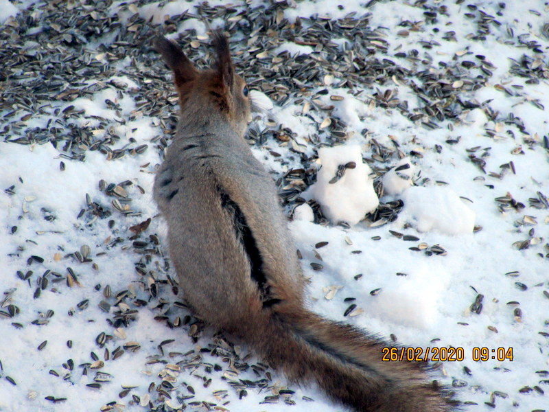 Valokuvaaja: SEIJA LAITALA