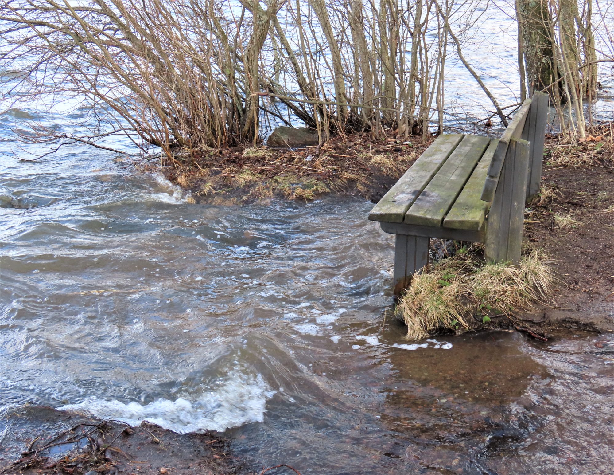 Valokuvaaja: Birgit Silvennoinen