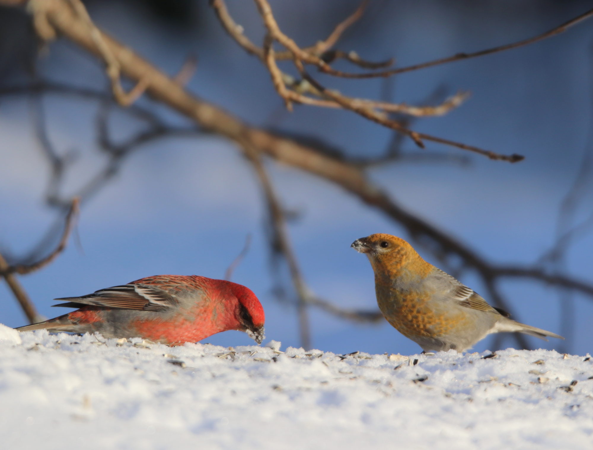 Valokuvaaja: Irja Lehtinen