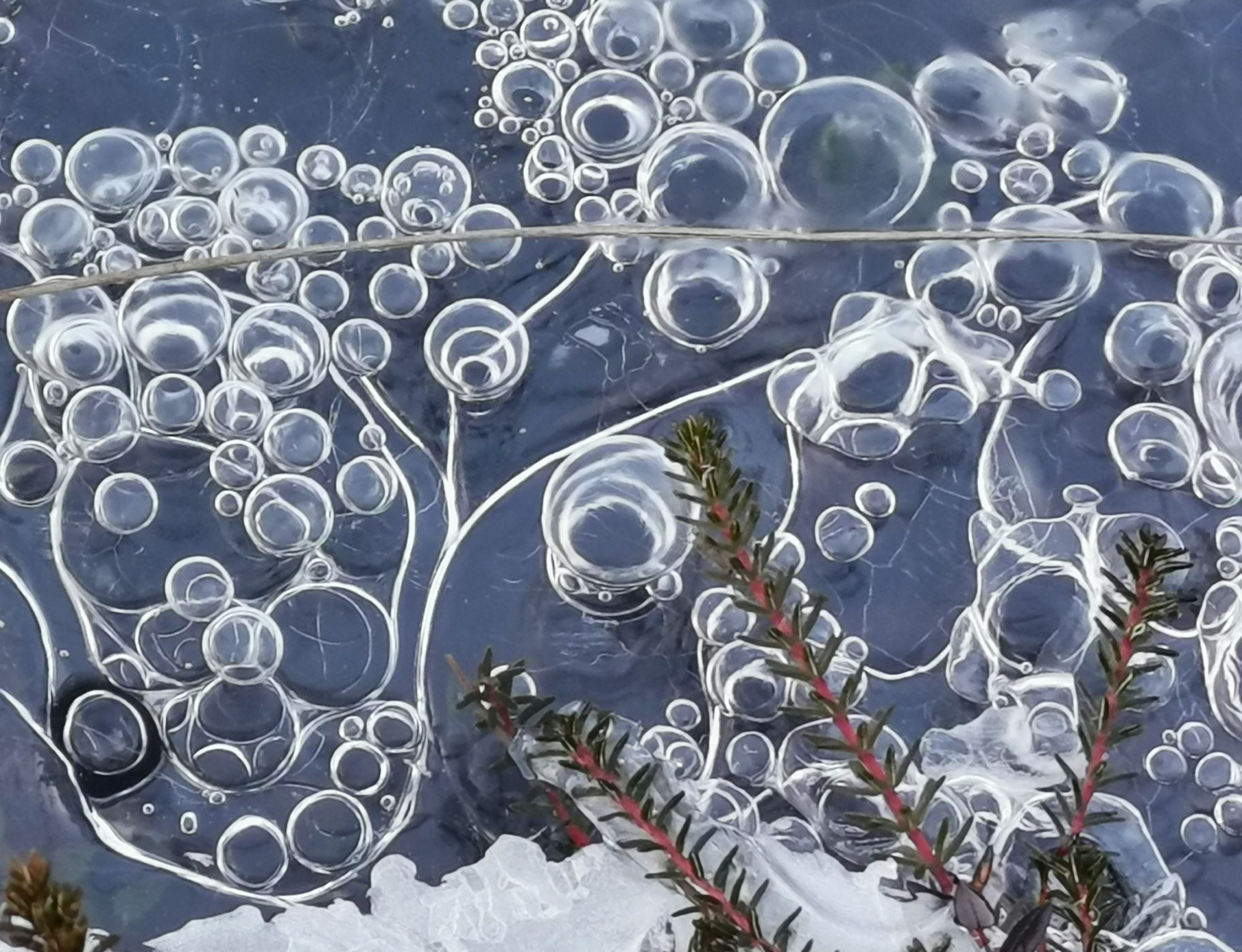 Valokuvaaja: Satu Kuningas Valokuvaaja: Satu Kuningas