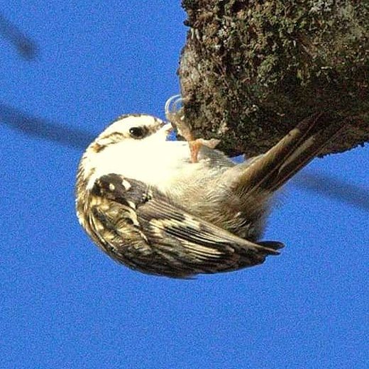 Valokuvaaja: Tapio Keinonen