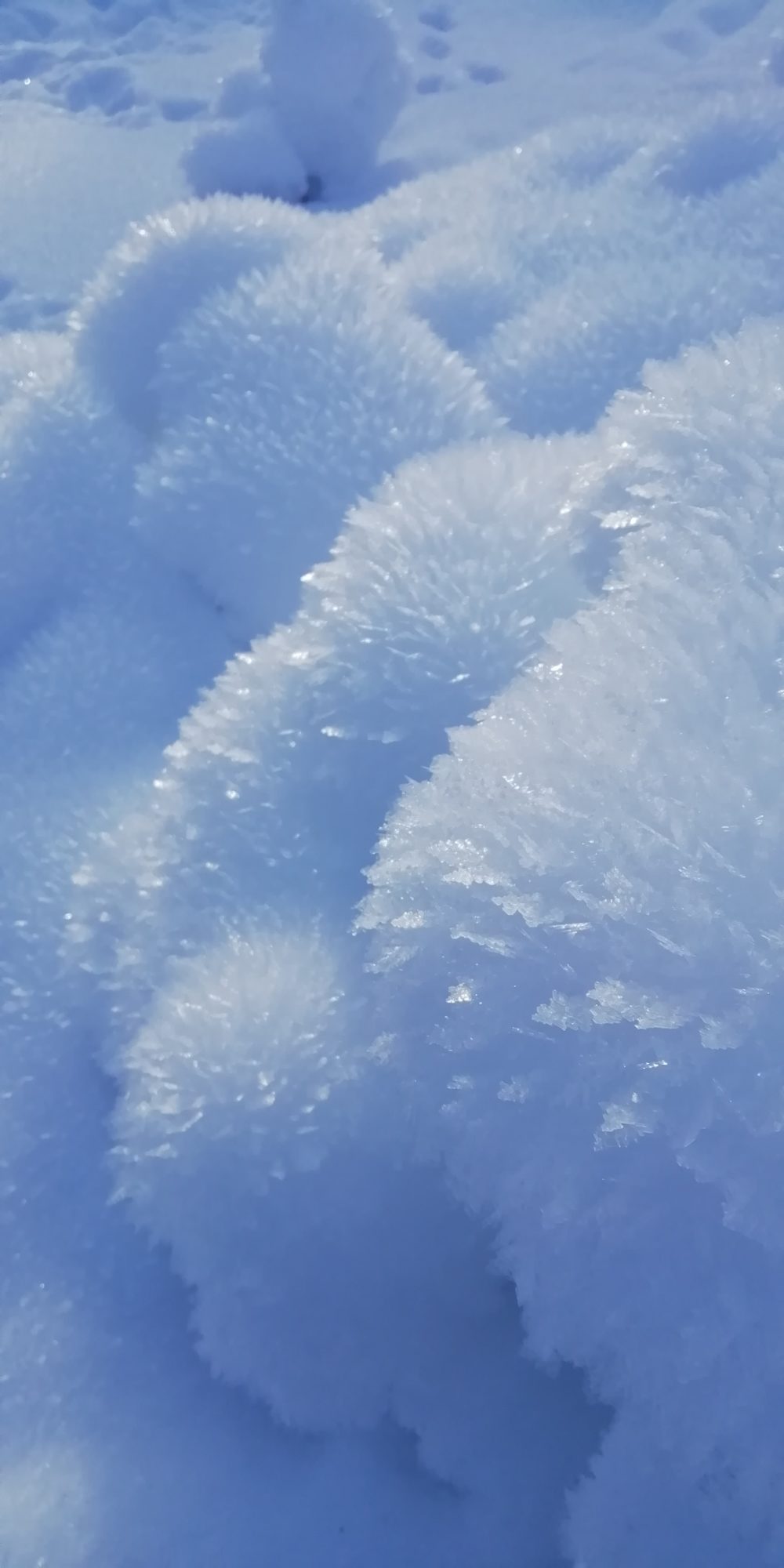 Valokuvaaja: Sari Viemerö