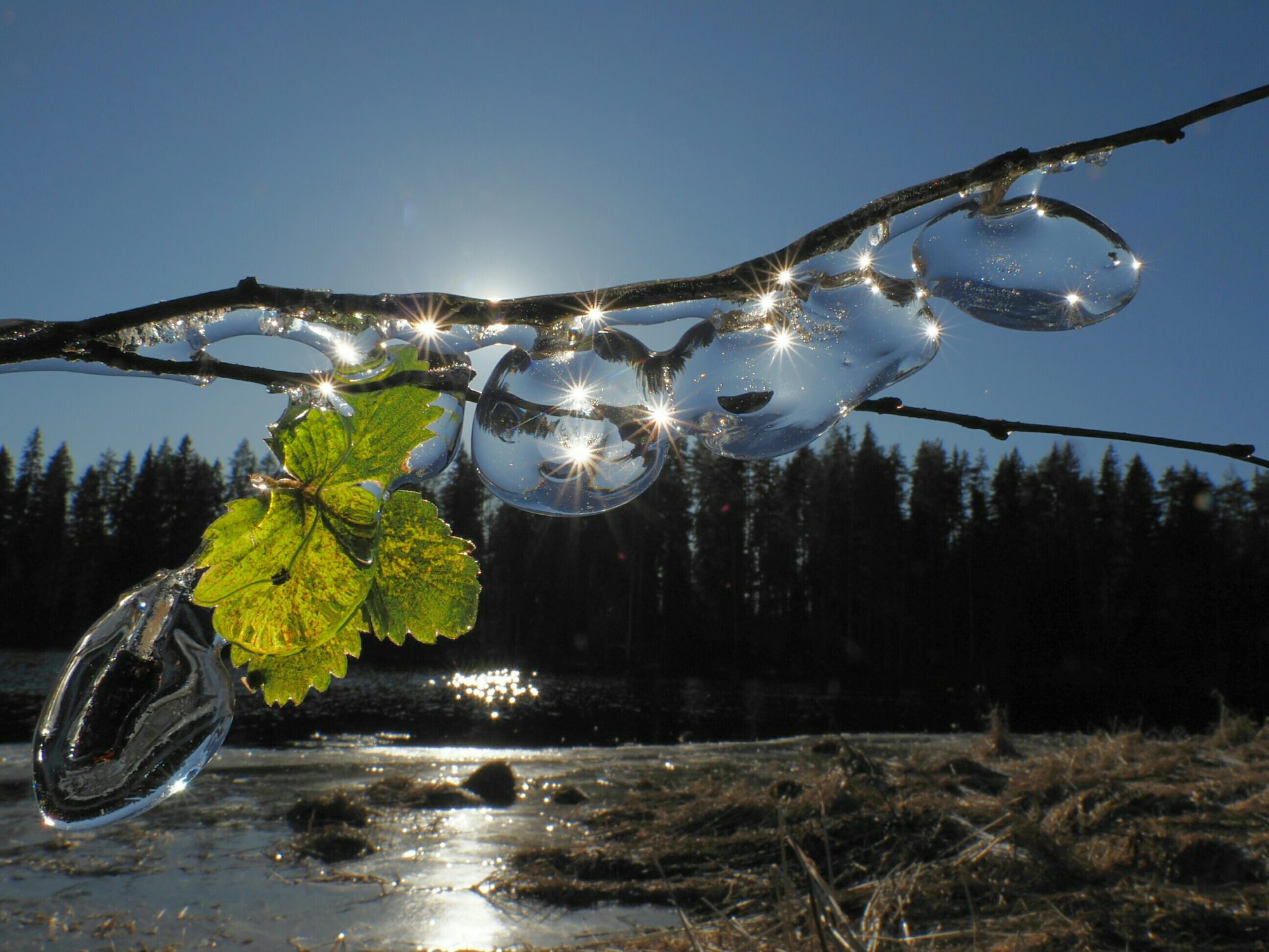 Valokuvaaja: Mikkola Irma