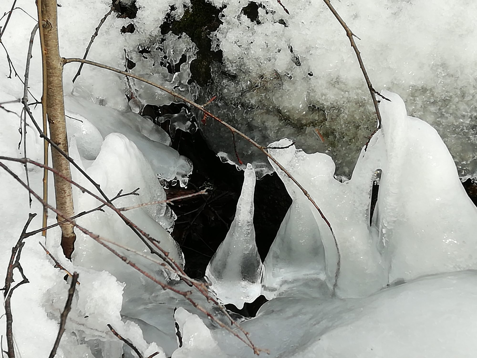 Valokuvaaja: Kaija Halonen