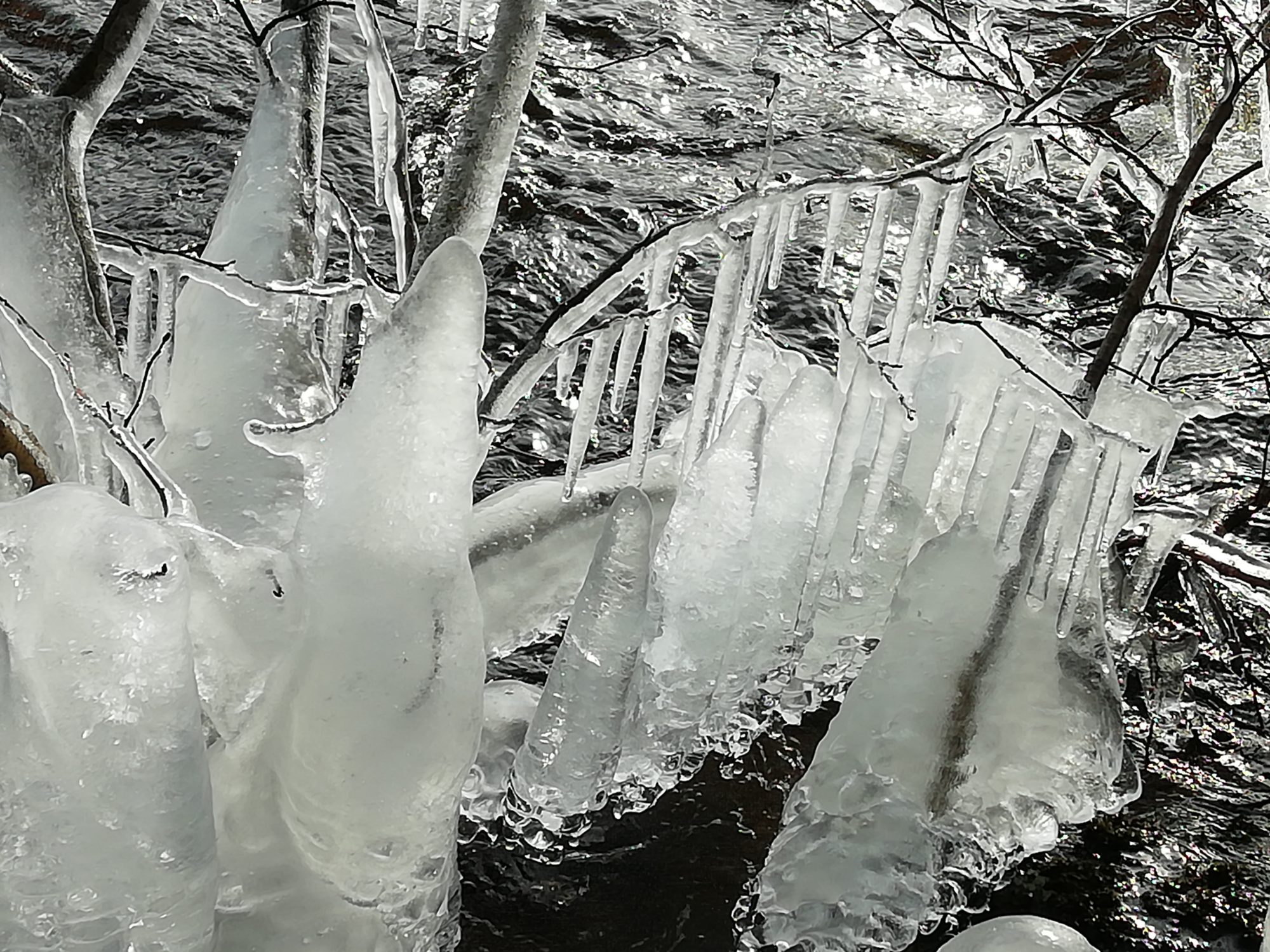 Valokuvaaja: Kaija Halonen