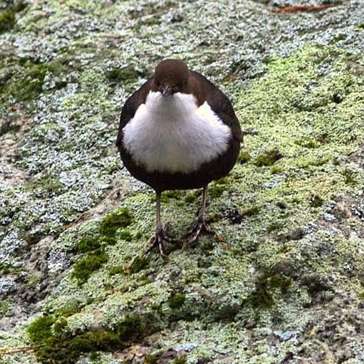 Valokuvaaja: Tapio Keinonen Valokuvaaja: Tapio Keinonen