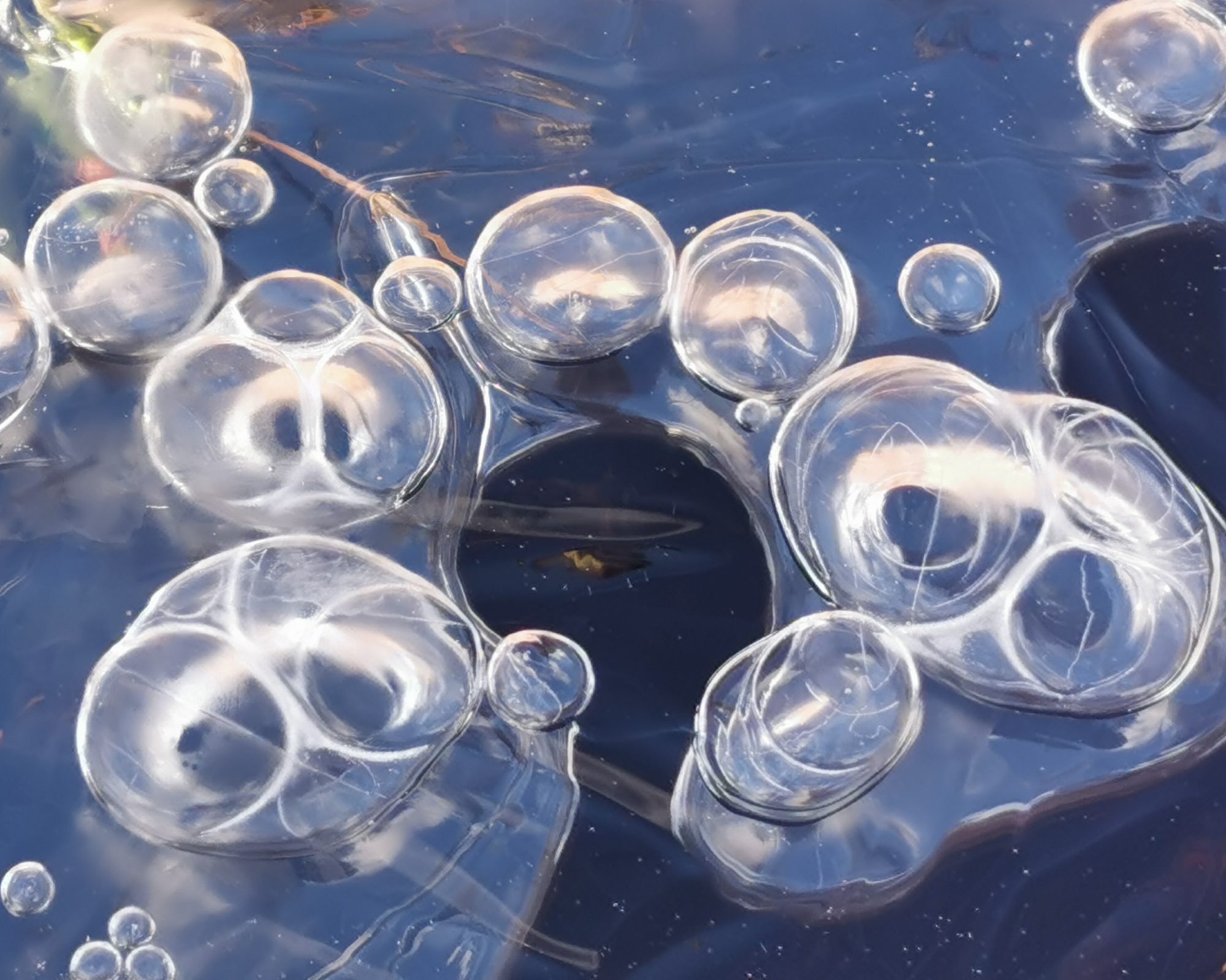 Valokuvaaja: Satu Kuningas