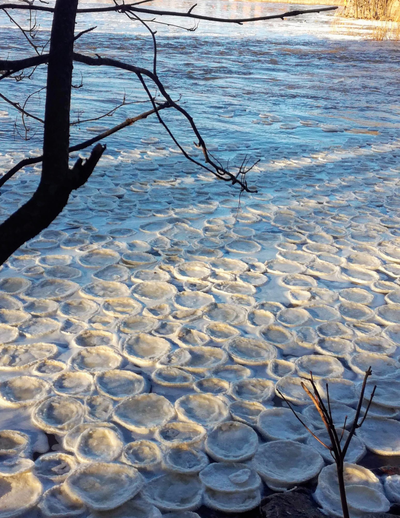 Valokuvaaja: Marketta Kokko