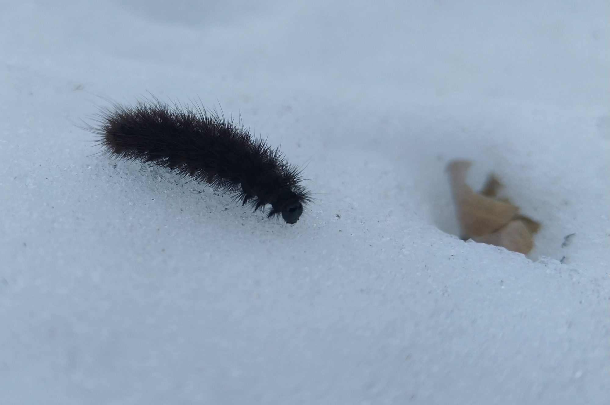 Valokuvaaja: Kari Roivainen