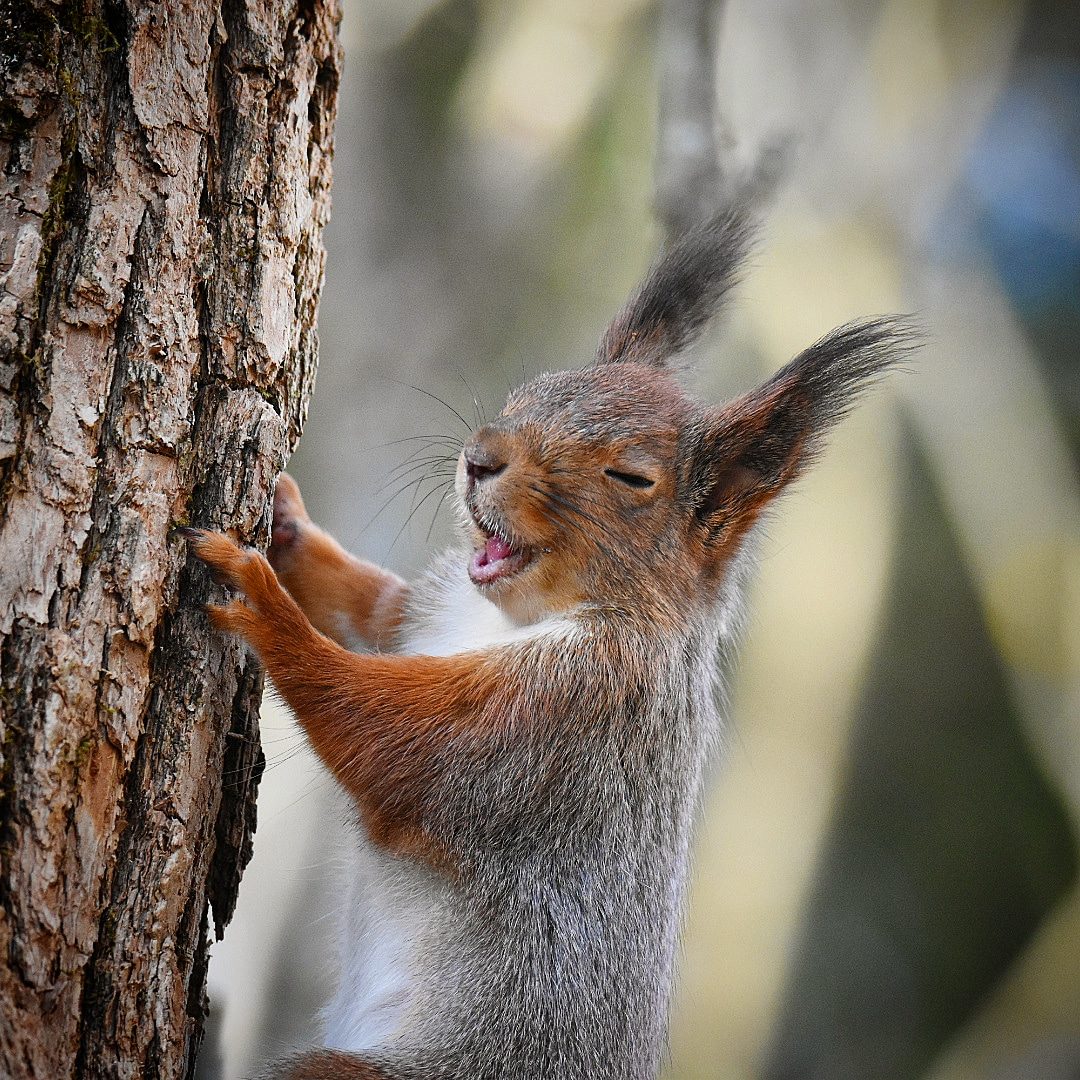 Valokuvaaja: eraopa_s