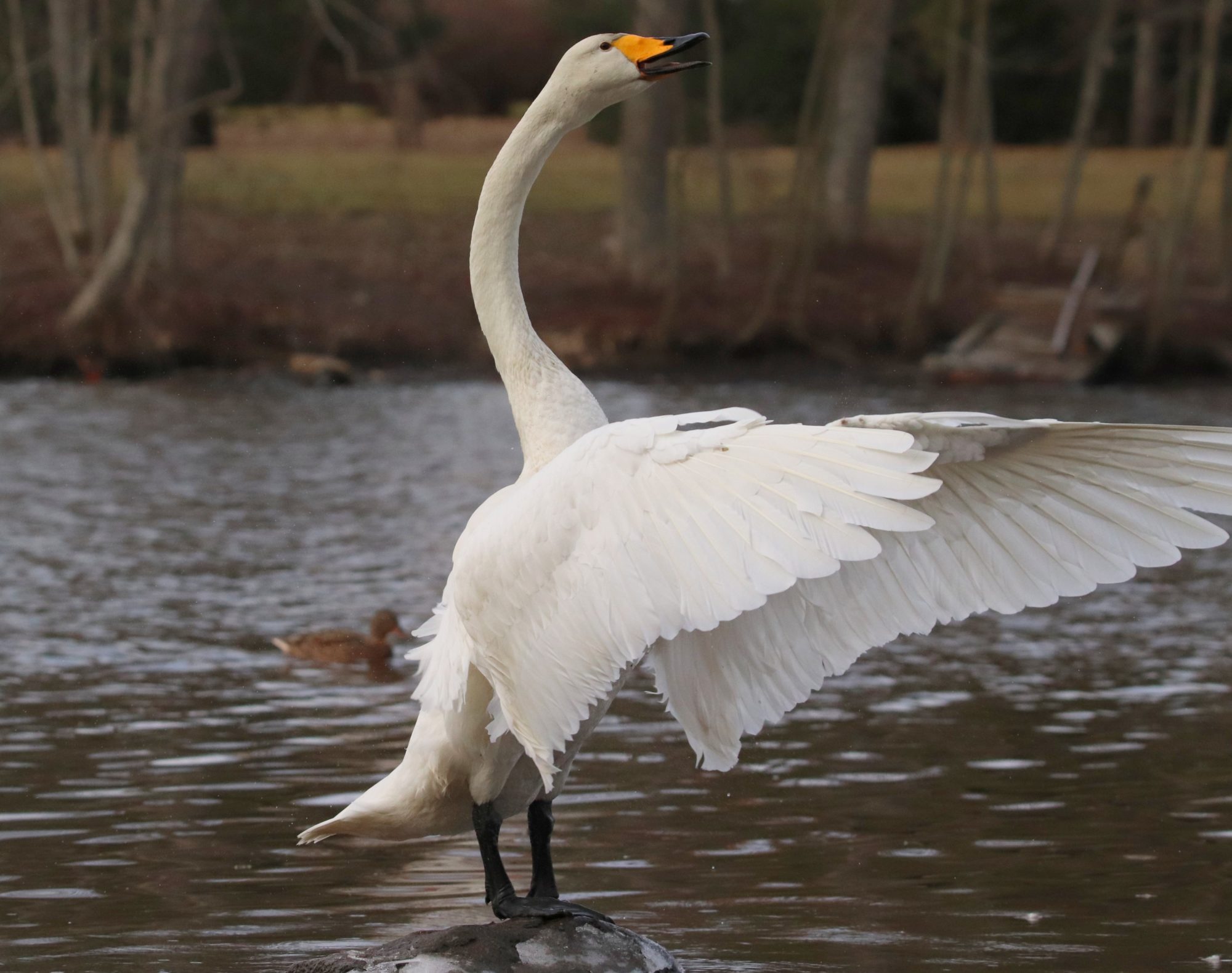 Valokuvaaja: Irja Lehtinen