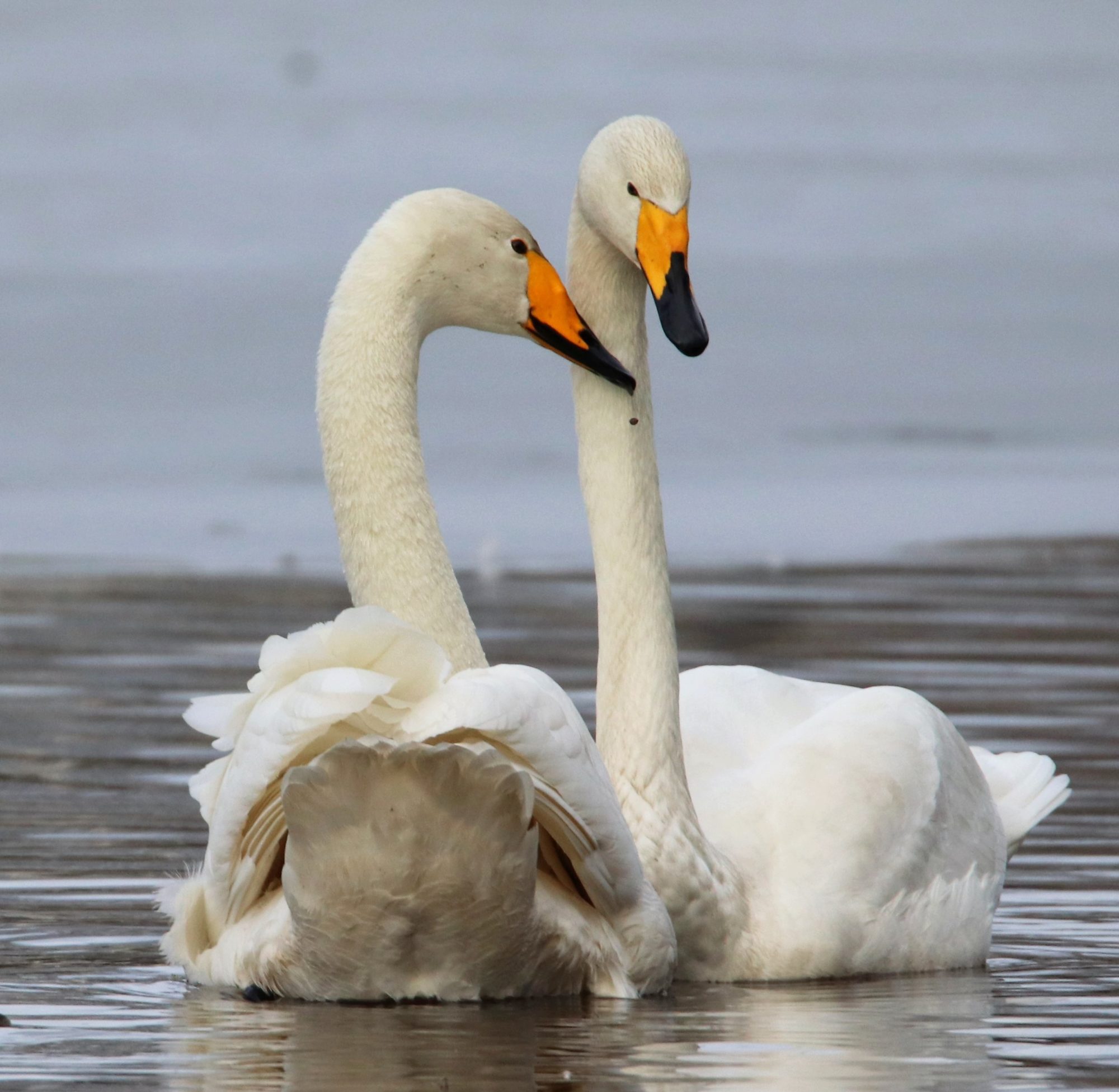 Valokuvaaja: Irja Lehtinen
