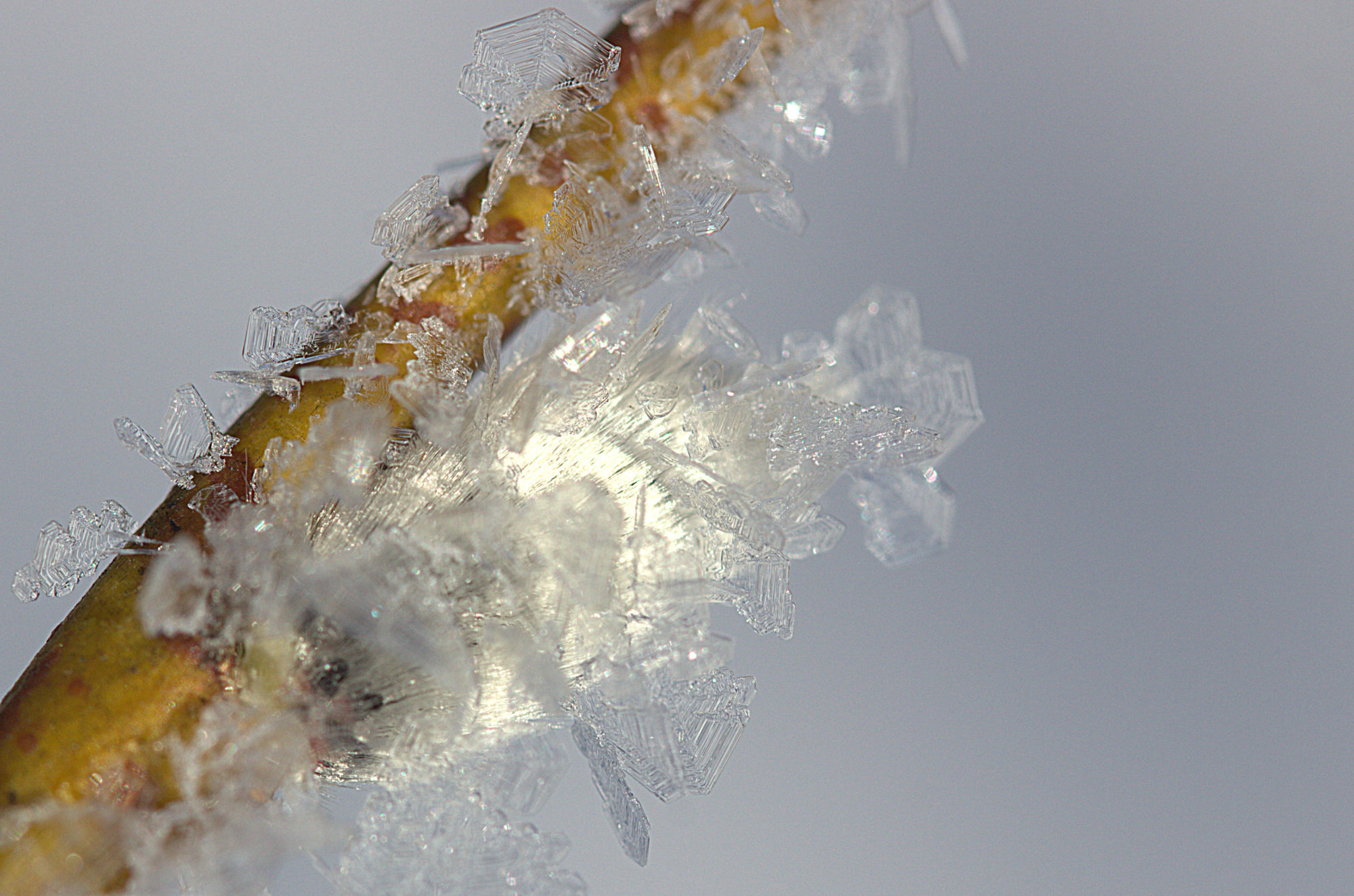 Valokuvaaja: Raija Kokkola