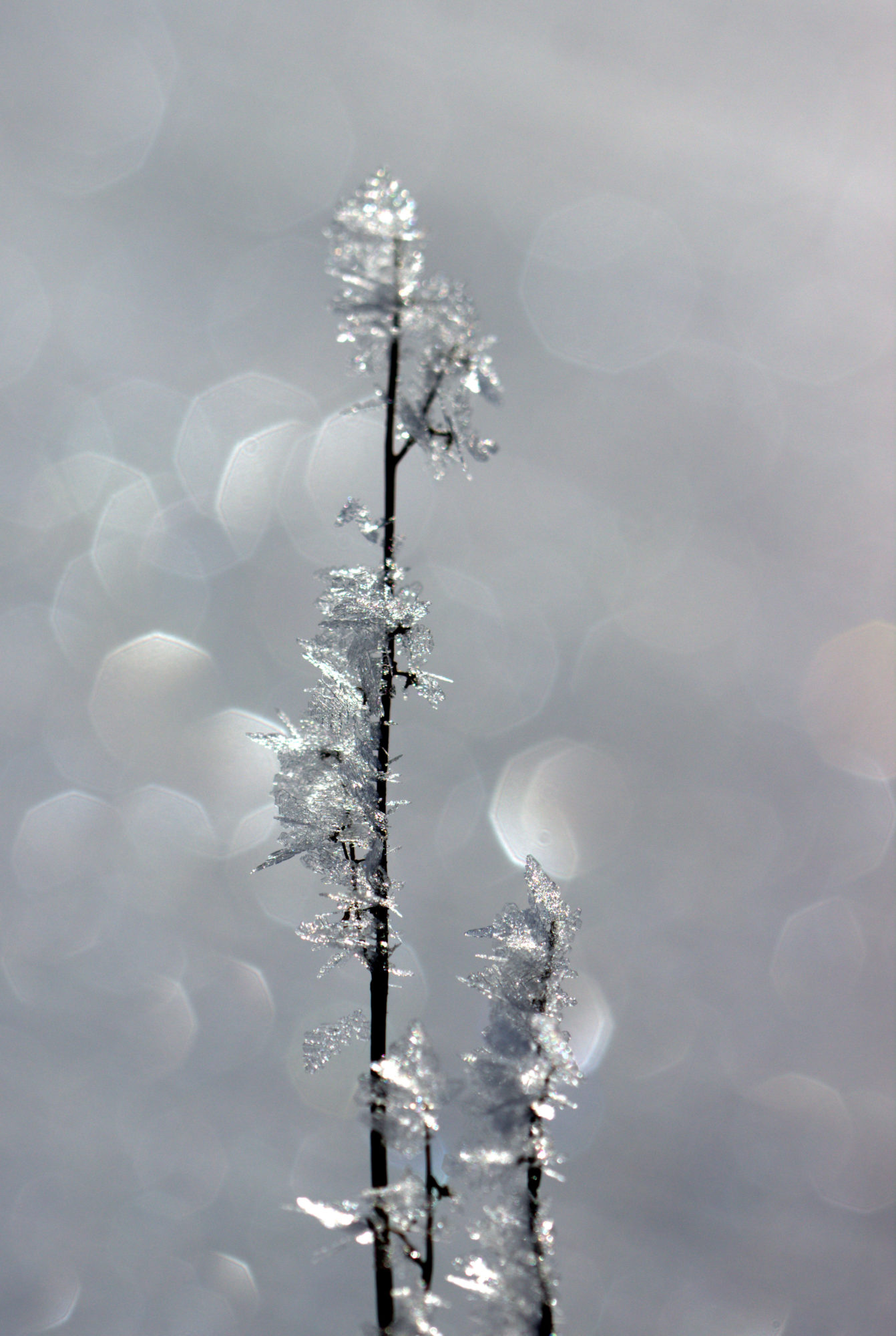 Valokuvaaja: Raija Kokkola