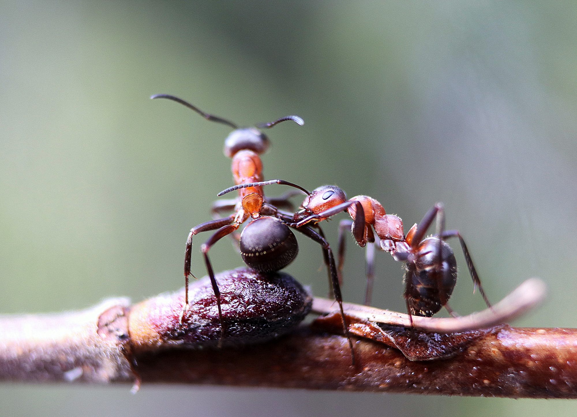 Valokuvaaja: Irja Lehtinen