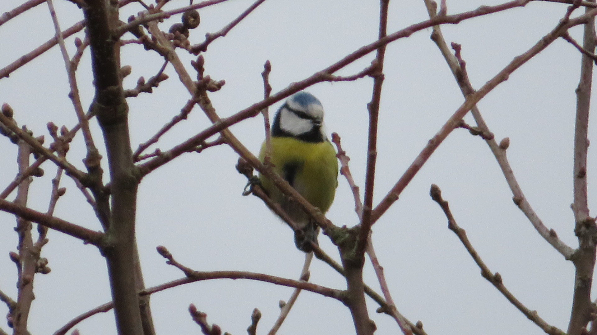 Valokuvaaja: Risto Kangassalo Valokuvaaja: Risto Kangassalo