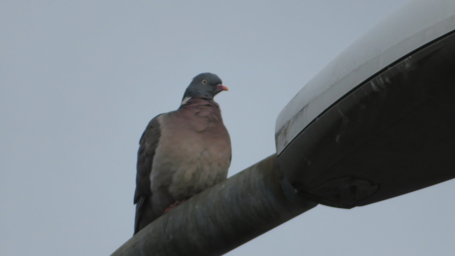 Valokuvaaja: Risto Kangassalo Valokuvaaja: Risto Kangassalo