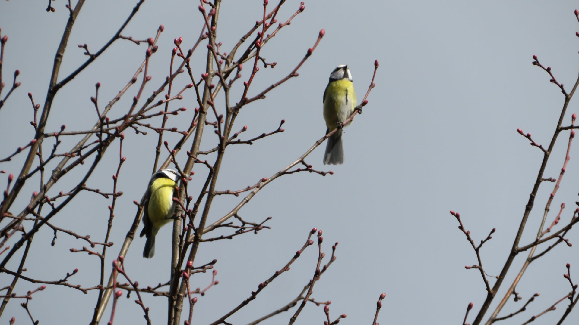Valokuvaaja: Risto Kangassalo
