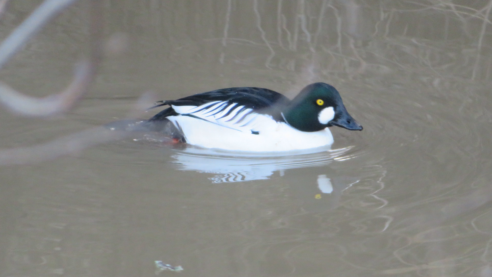 Valokuvaaja: Risto Kangassalo Valokuvaaja: Risto Kangassalo