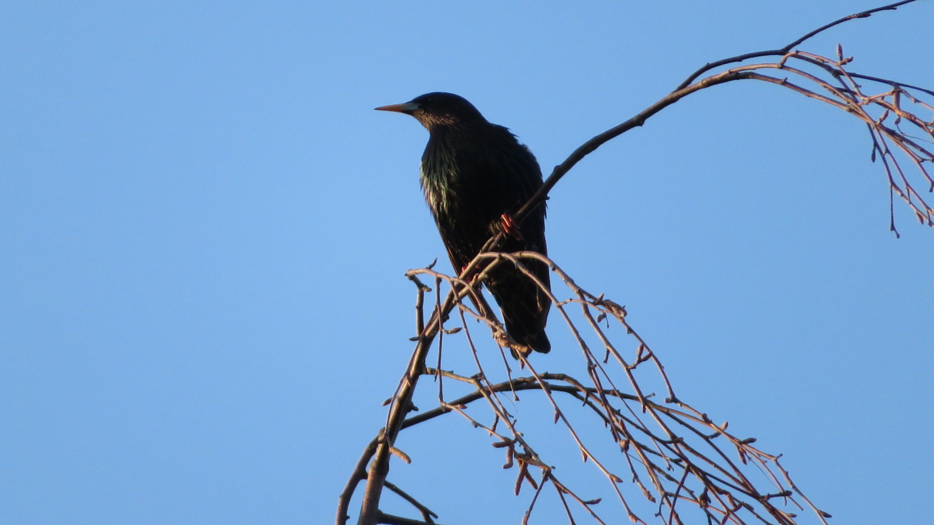 Valokuvaaja: Risto Kangassalo