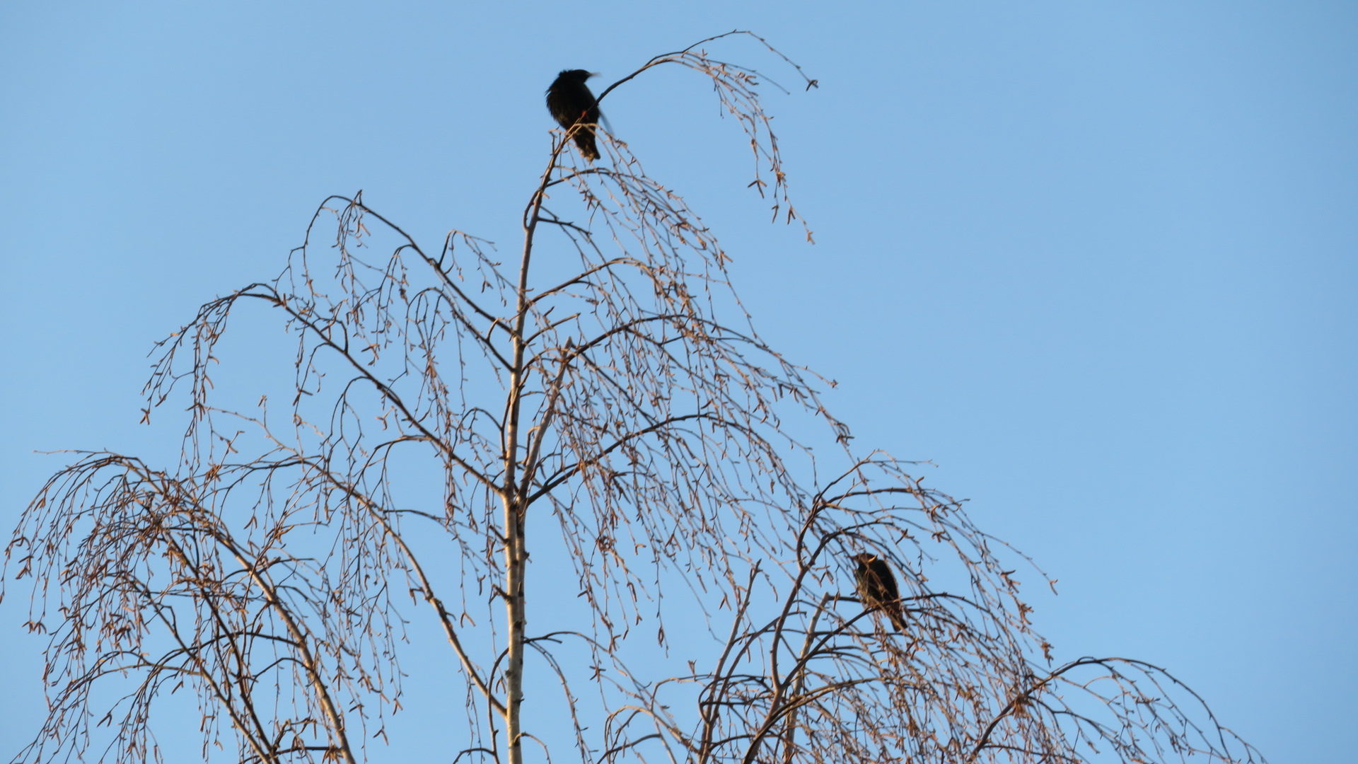 Valokuvaaja: Risto Kangassalo