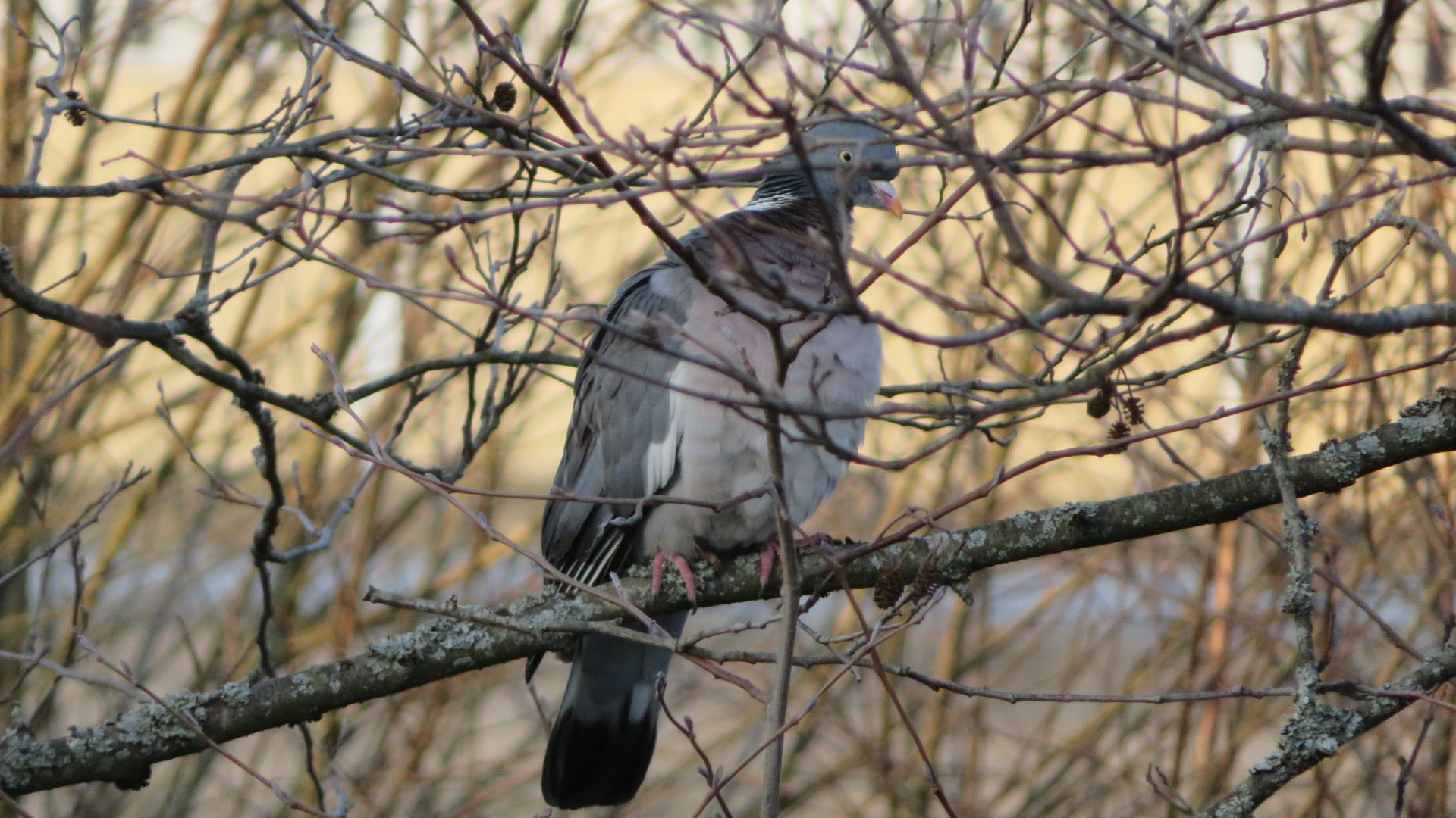 Valokuvaaja: Risto Kangassalo