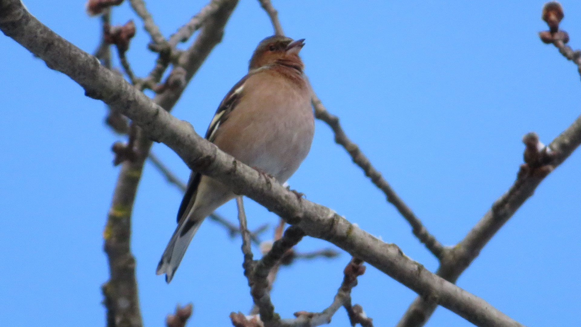 Valokuvaaja: Risto Kangassalo