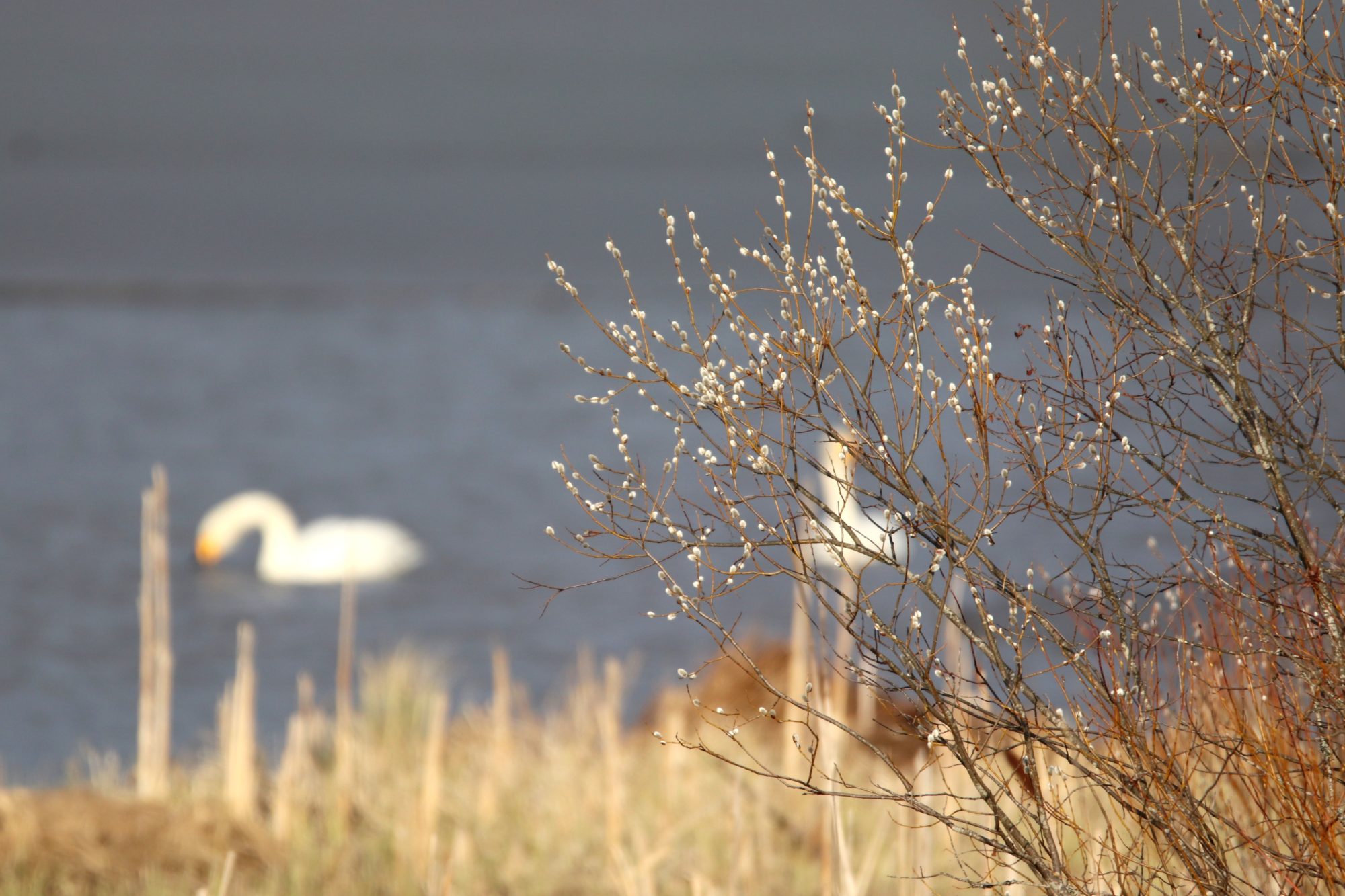 Valokuvaaja: Irja Lehtinen
