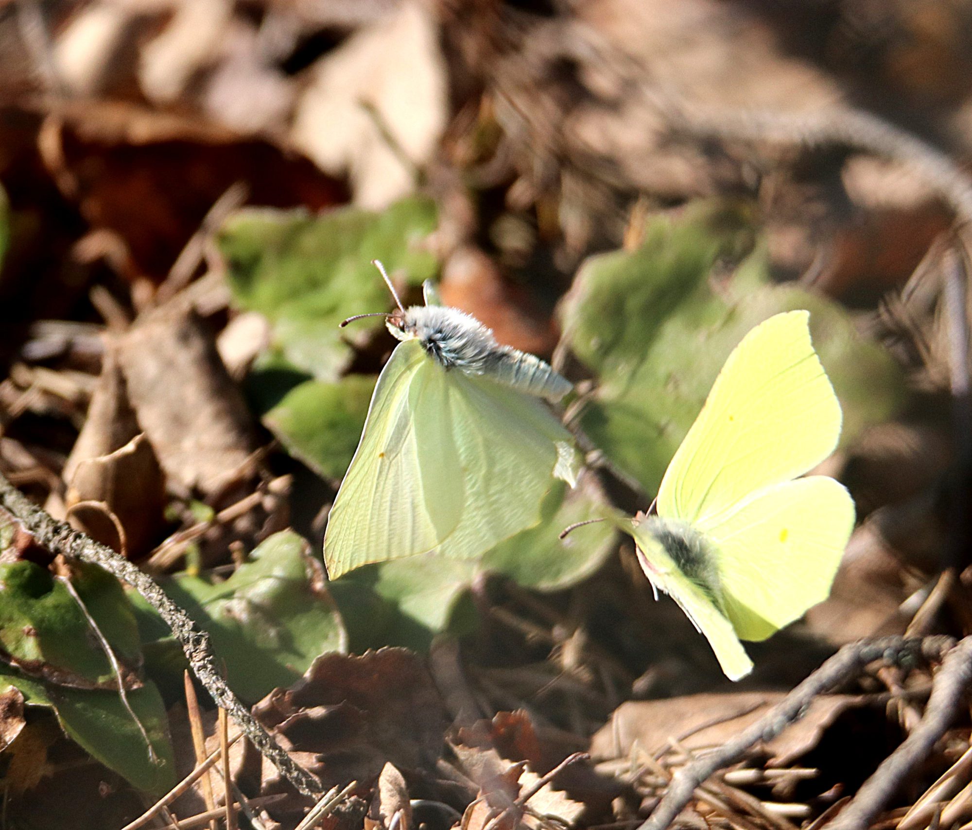 Valokuvaaja: Irja Lehtinen Valokuvaaja: Irja Lehtinen
