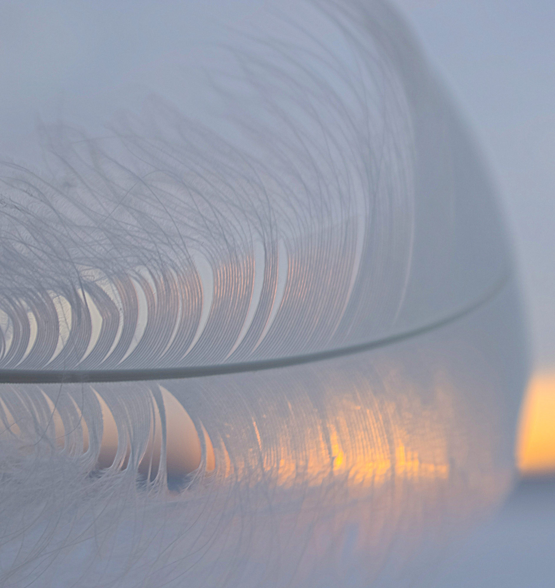 Valokuvaaja: Raija Kokkola Valokuvaaja: Raija Kokkola